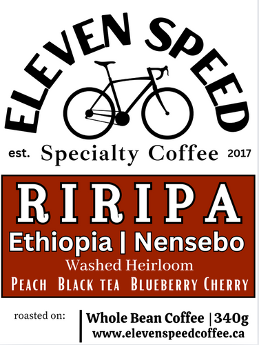 RIRIPA | ETHIOPIA | WEST ARSI