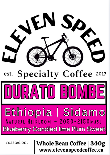 DURATO BOMBE | ETHIOPIA | SIDAMA